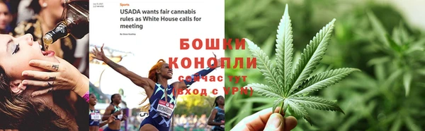 ПСИЛОЦИБИНОВЫЕ ГРИБЫ Беломорск