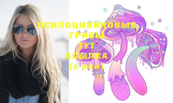 меф Белокуриха
