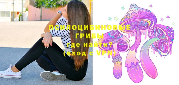 меф Белокуриха