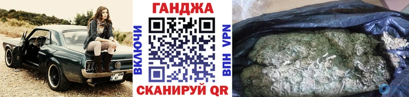 Конопля гибрид  Юрьевец 